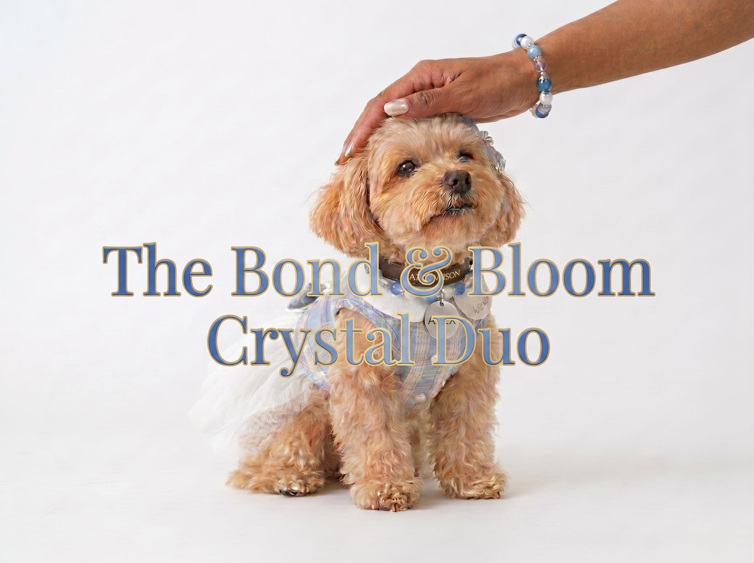 The Bond & Bloom Crystal Duo