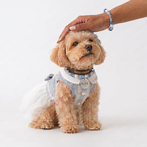 Bracelet en calcite Misty Luna Blue Banded | Bijoux en cristal apaisants pour les mamans de chats et de chiens pour soulager l'anxiété de séparation