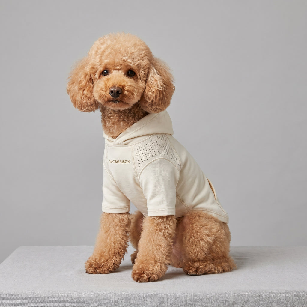 Creamy White Cloud-patterned Hoodie | MAX&MAISON
