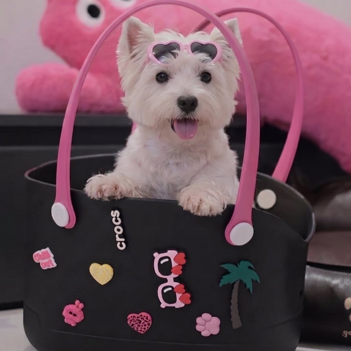 Perforated pet bag - portable, stylish, and easy to clean.
