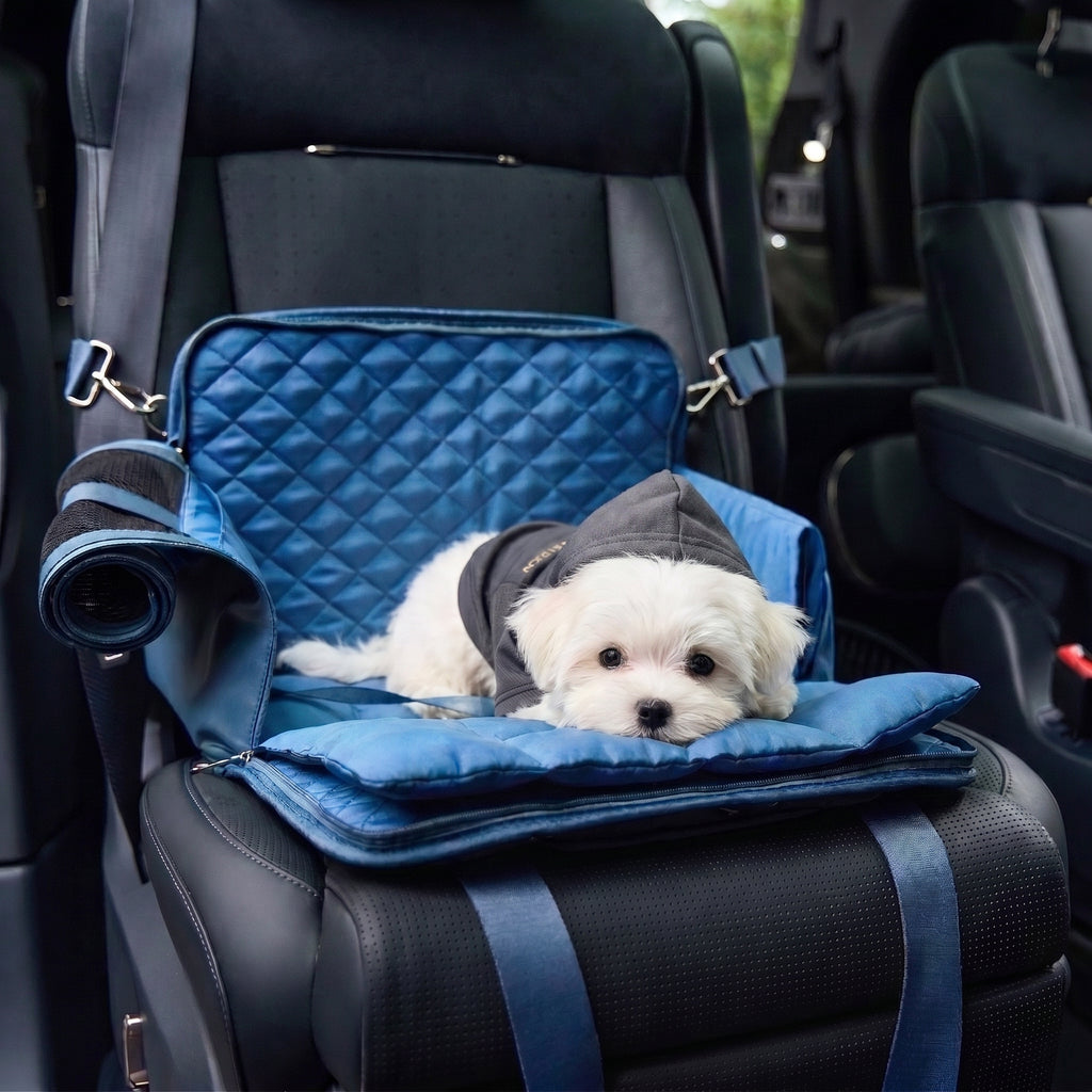 Luxury Blue Sparkling Pet Travel Bag