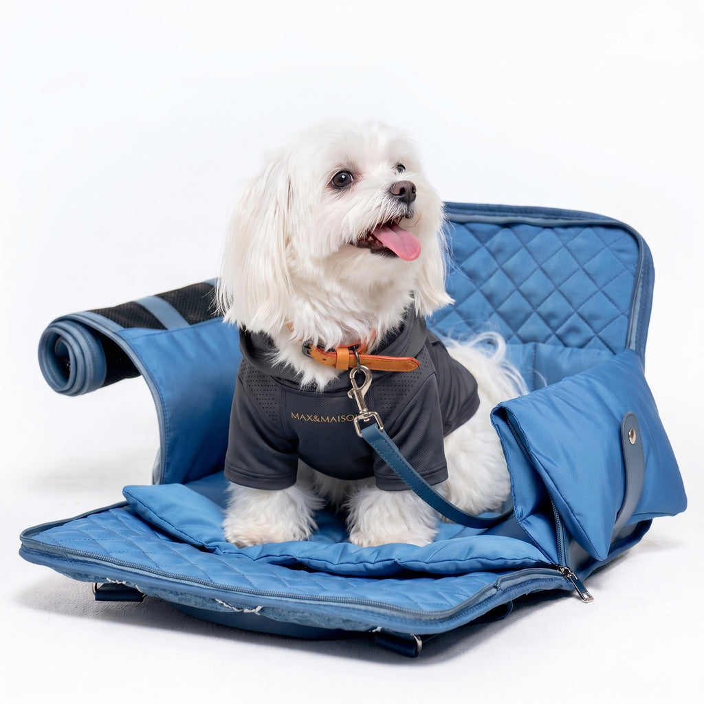 Luxury Blue Sparkling Pet Travel Bag