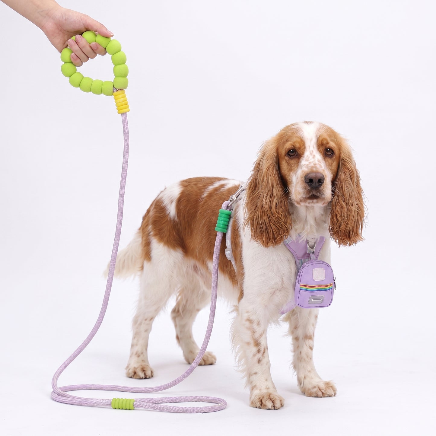 Dreamy Candy-colored Padded Harness + Cloud-feel Grip Leash + Pet Poop Bag Walk Kit