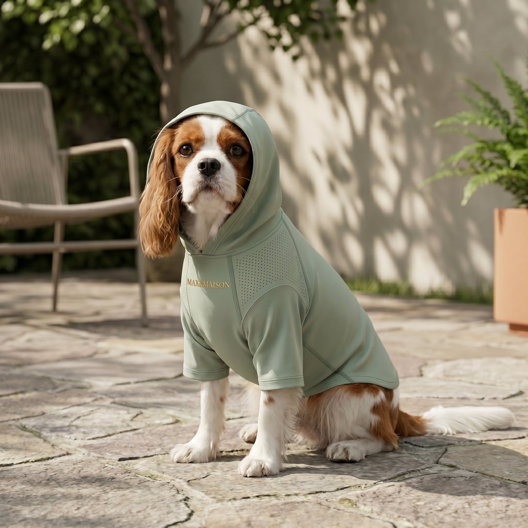 Sage Hooded Sun & Bug Shield | MAX&MAISON